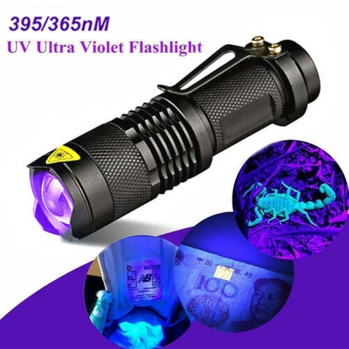 Lampe Torche UV 30W 365 NM – Ultra Violet, LED Blacklight, Portable, Avec Pile