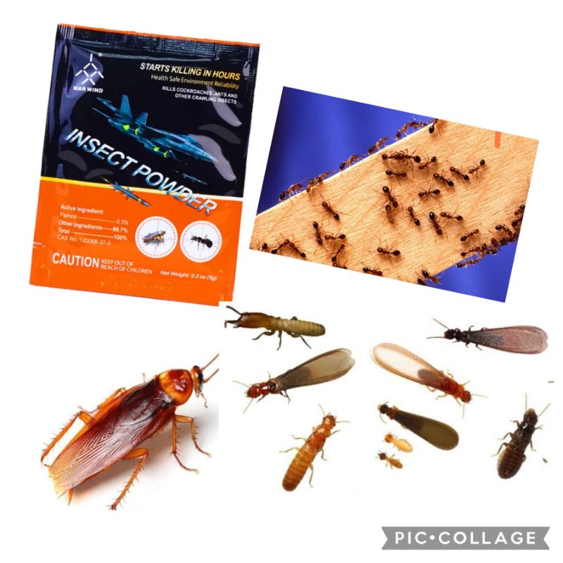 ANTS KILLER POWDER COCKROACH, TERMITES 10 PIECES multi insects powder
