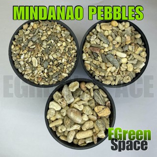 ASSORTED MINDANAO PEBBLES (10 kilos) | Shopee Philippines