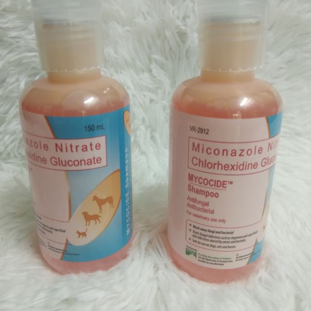 Mycocide shampoo best sale for mange