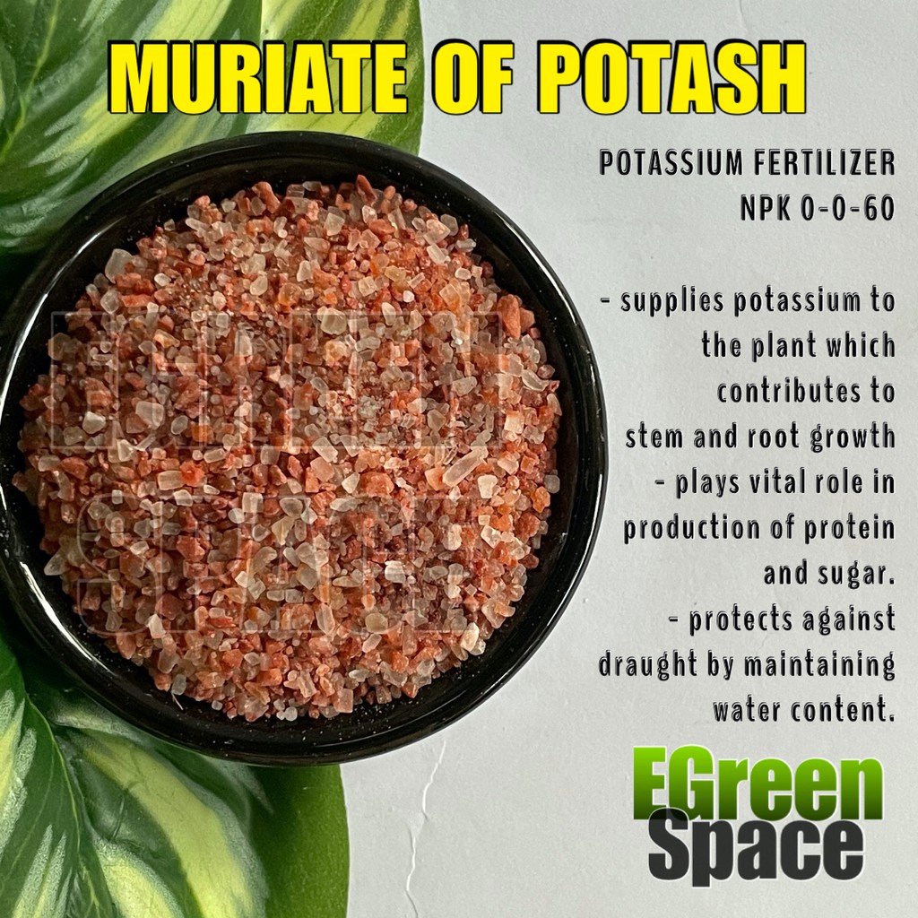 Muriate Of Potash 200grams Potassium Mop Shopee Philippines