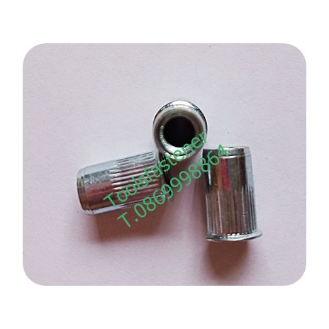 Rivet Nut Thin-Winged Steel M3 M4 M5 M6 M8 M10 (20 Balls/Set) | Shopee ...