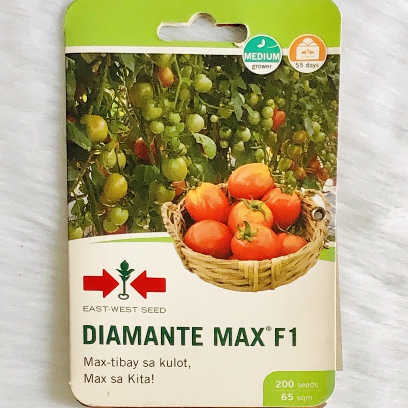 TOMATO (KAMATIS) - DIAMANTE MAX F1 | Shopee Philippines