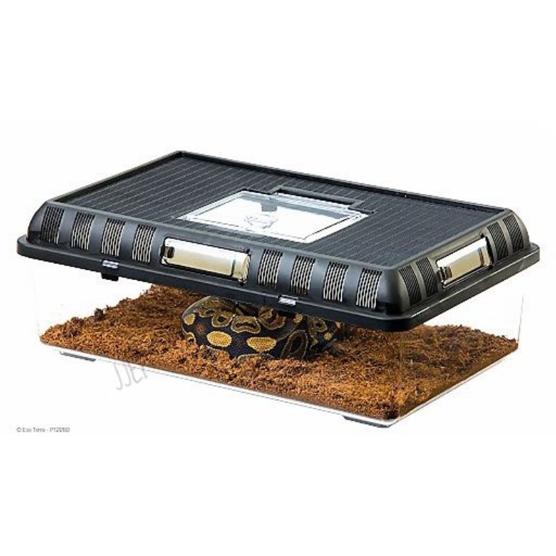 Exo Terra Stackable Breeding Box Terrarium Shopee Philippines