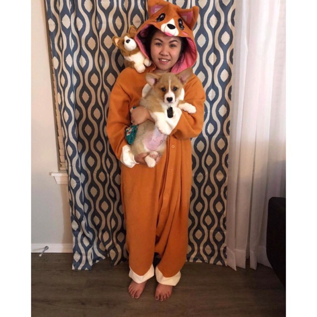 Kigurumi corgi hot sale