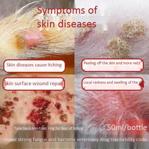 Ready stock】dog skin disease eczema dermatitis antifungal infection pet ...