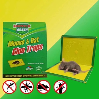 10 Pack Large Mouse Glue Traps with Enhanced Stickiness Glue Traps for Rat  Rodent Cockroach and Other Household Traps Sticky Pad Board for House
