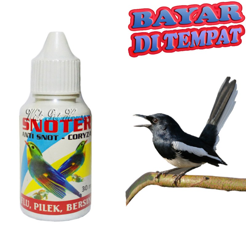 Antibiotic Medicine Bird SNOTER FLU PILEK DIARE PUP MUNTAH Packing Shopee Philippines