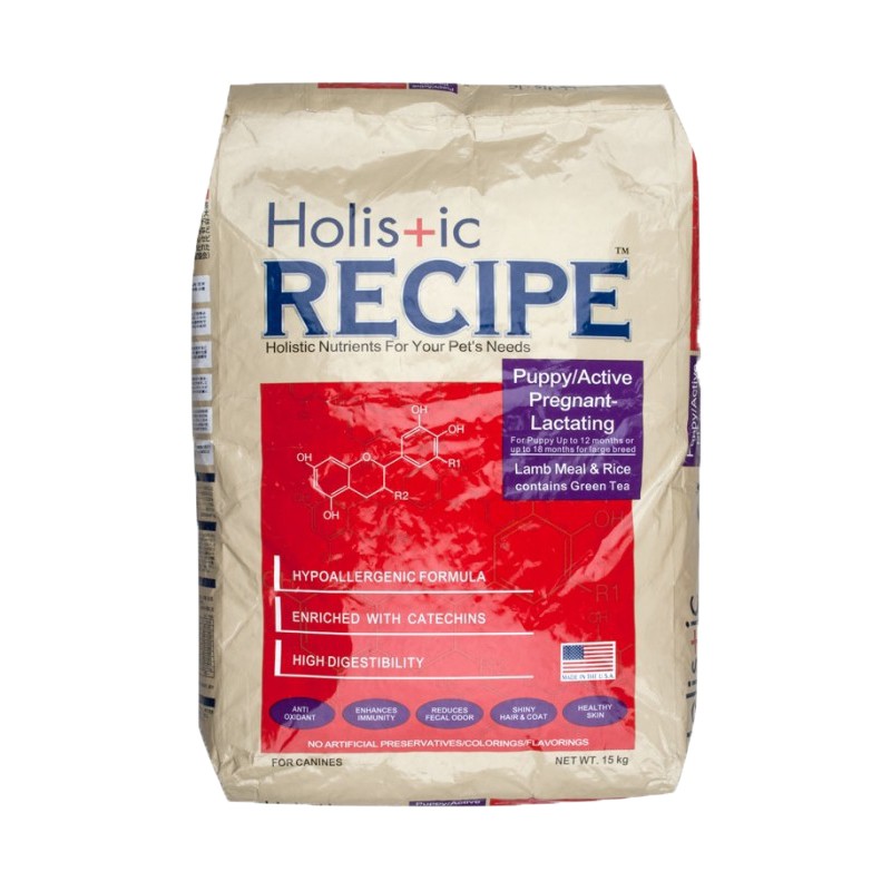 Holistic dog food best sale