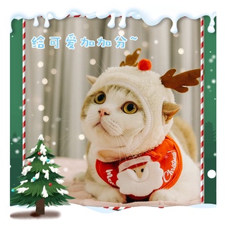 Cat christmas outlet outfits