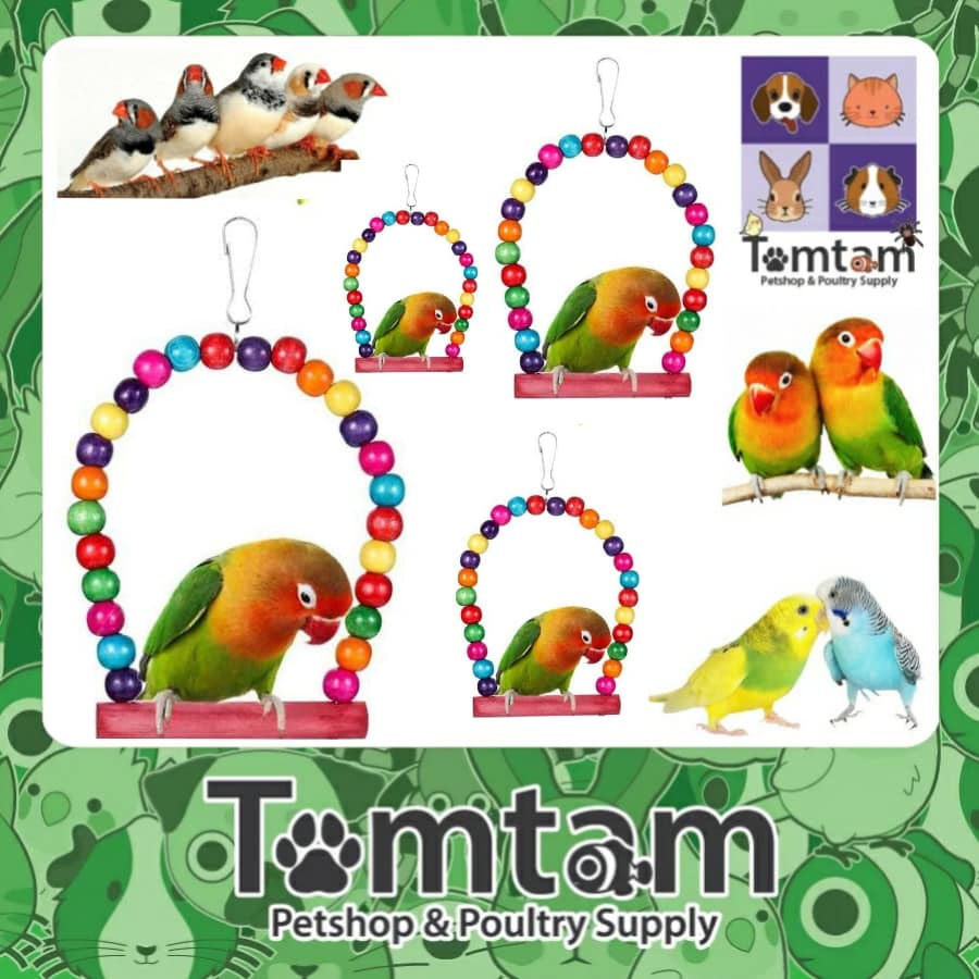 Curated visual reference: Fresh Look at Parrot Lovebirds Wooden Bird Toys Oval Swing Colorful Materials Birdy