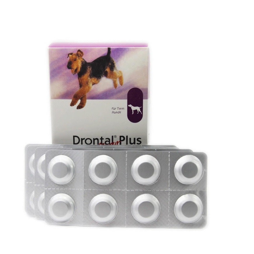 Bayer top drontal plus