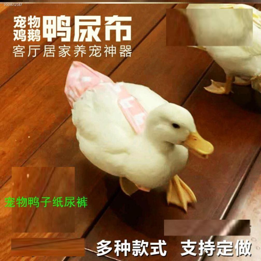 Pet duck diapers, disposable stools, general net celebrity Douyin