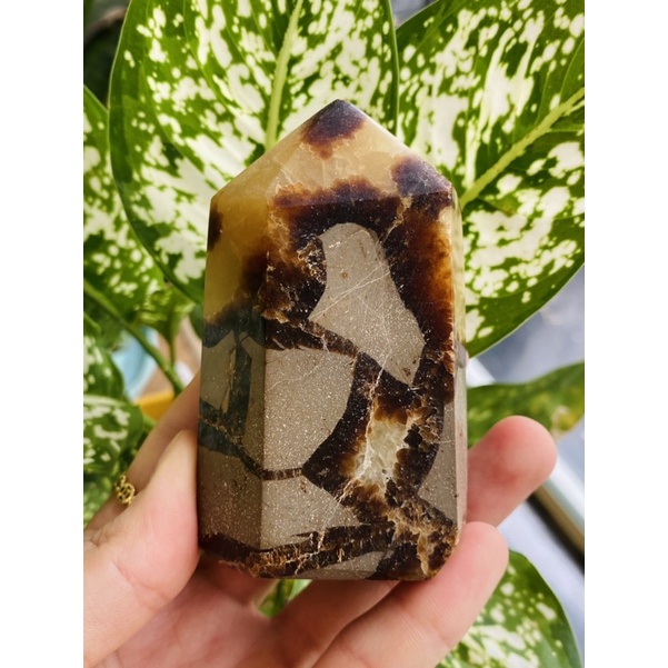 Septarium Nodule Pillar | Shopee Philippines