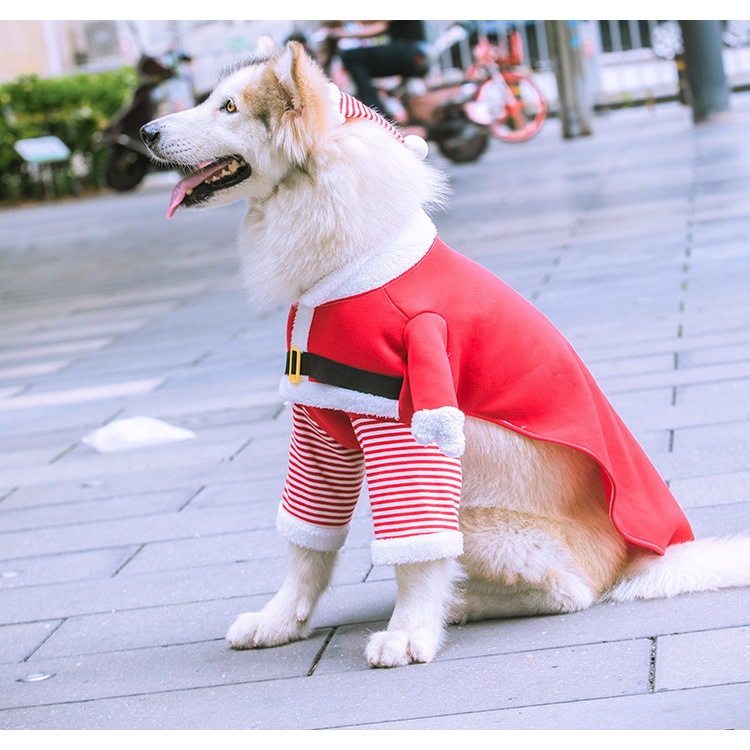 Pet Santa Claus suit clothing big dog christmas cat and dog bodysuit