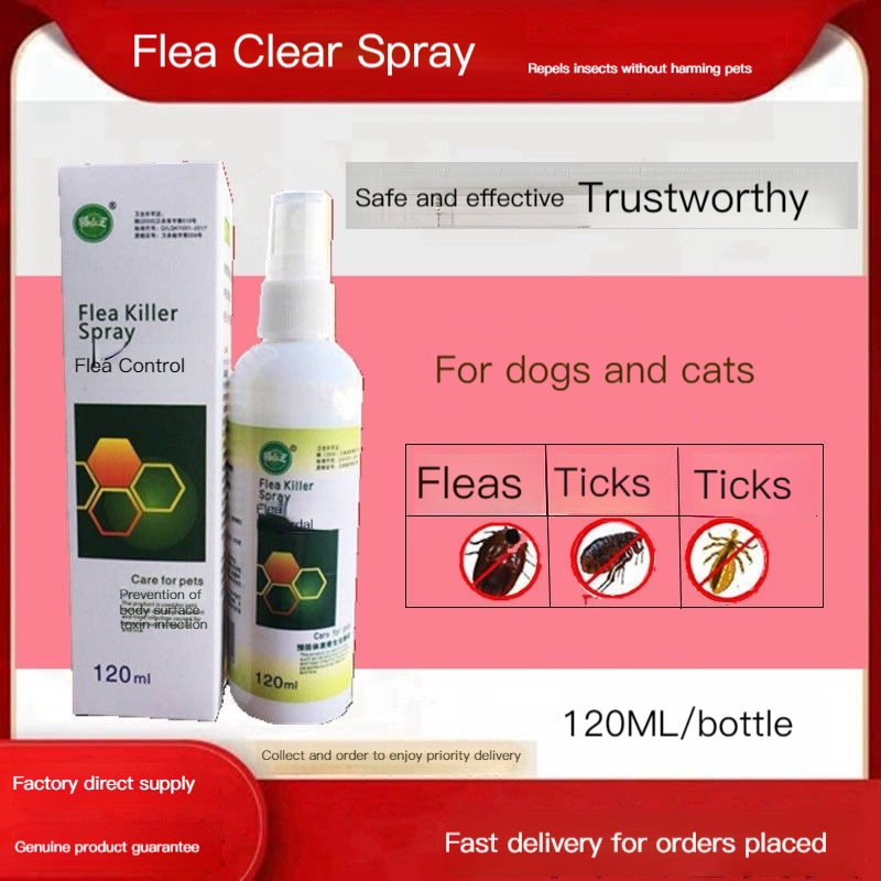 Picture of Still Seeing Fleas On Your Cat? You're Doing It Wrong