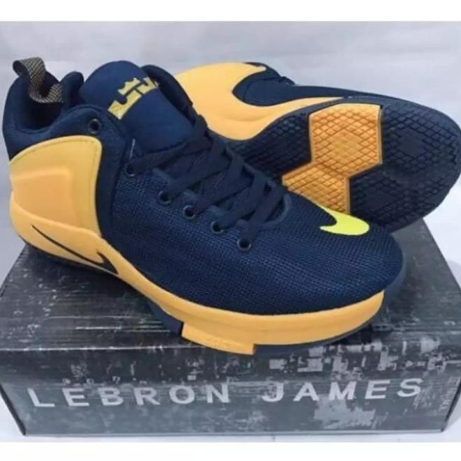 Lebron james hot sale blue shoes