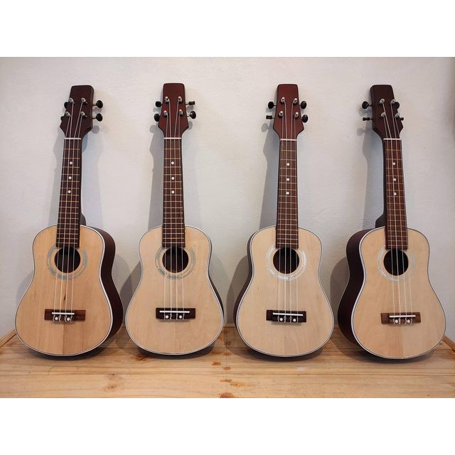 Ukulele shop concert shopee