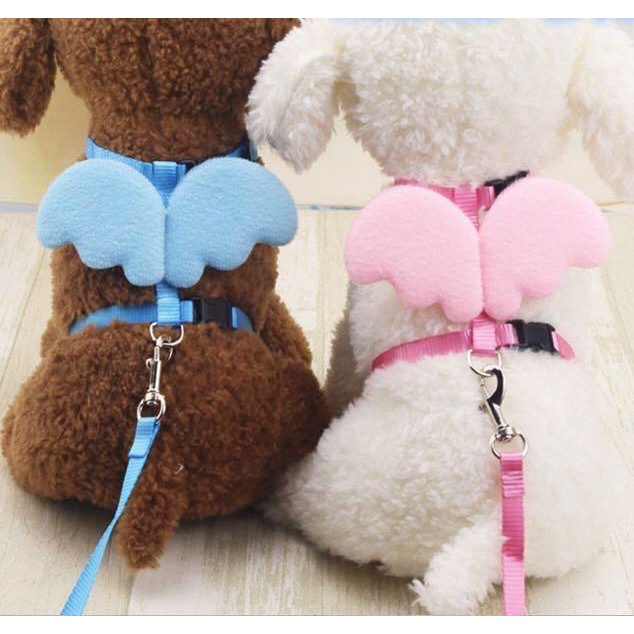 Pet Leash Little Angel Chest Strap Wings Set Cat Dog Leash Harness Milk 