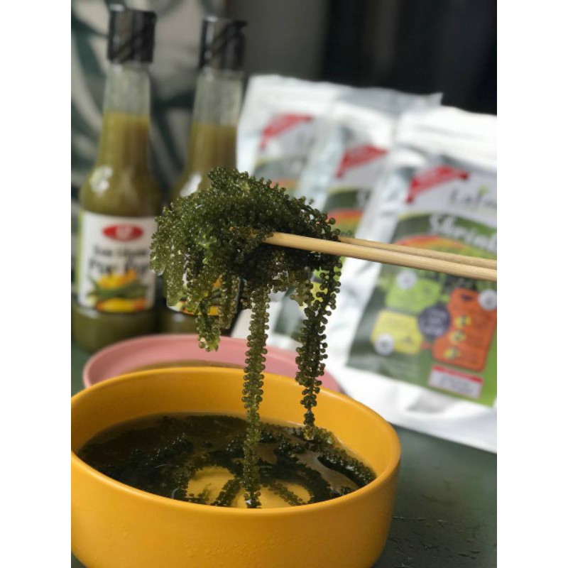 24HRS SHIPPING LATOK SHRINK POP POP VIRAL seagrapes sea grapes latok ...