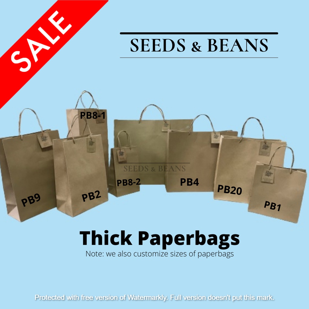 THICK Paper Bag Paper Bag Kraft Bag Plain Gift Bag with twist handle  Cake bag Pastry bag