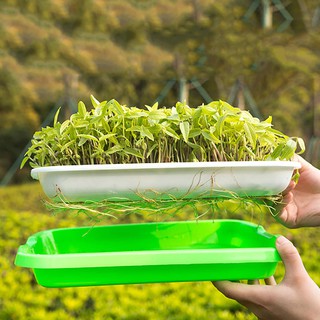 【SOYACAR】Bean Sprouts Plate Seedling Tray Double Layer Planting Dishes ...