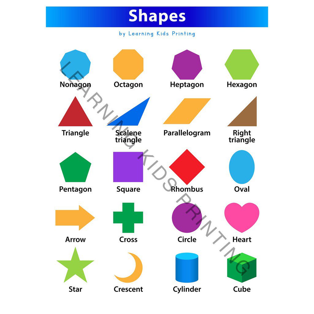 New2021shapes Chart (laminated A4 Size) 