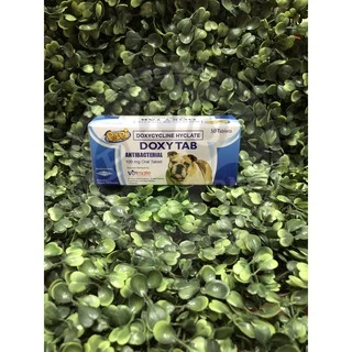 papi doxy - Best Prices and Online Promos - Apr 2024 | Shopee Philippines