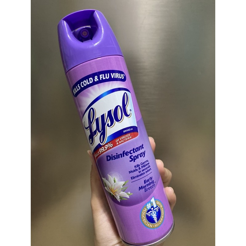 Lysol Disinfectant Spray Surface Disinfectant 510g 340g 170g Shopee Philippines 7500