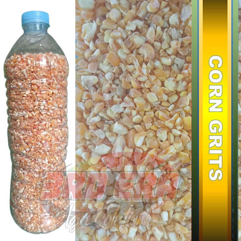 YELLOW CORN GRITS for feed grain concentrate at 700 grams Shopee