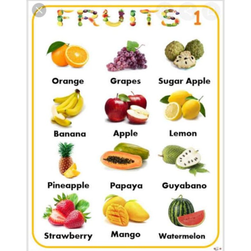 Laminated Fruits Chart | Shopee Philippines