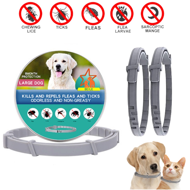 Anti flea hot sale and tick collar