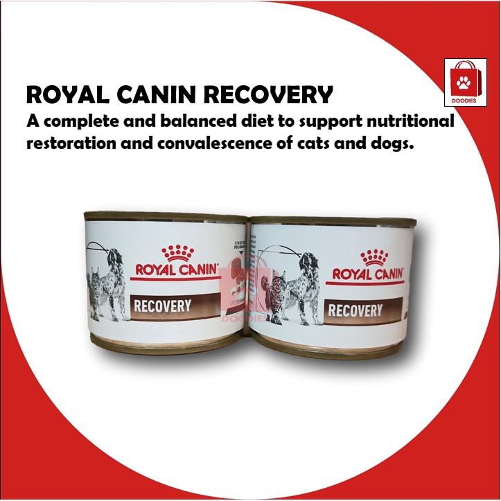 Royal canin recovery outlet rs cat food