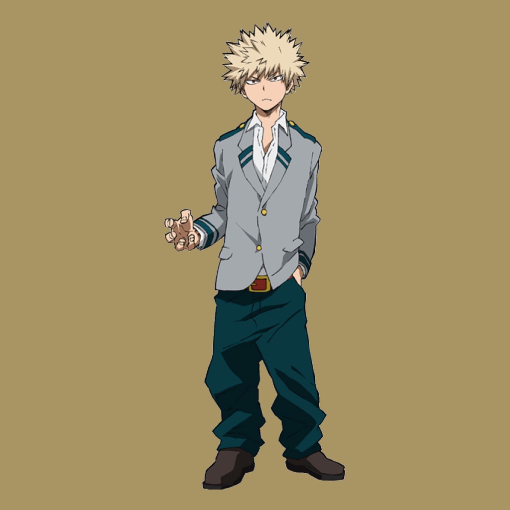 My Hero Academia Transfer Patch for Clothes Bakugou Katsuki deku ...