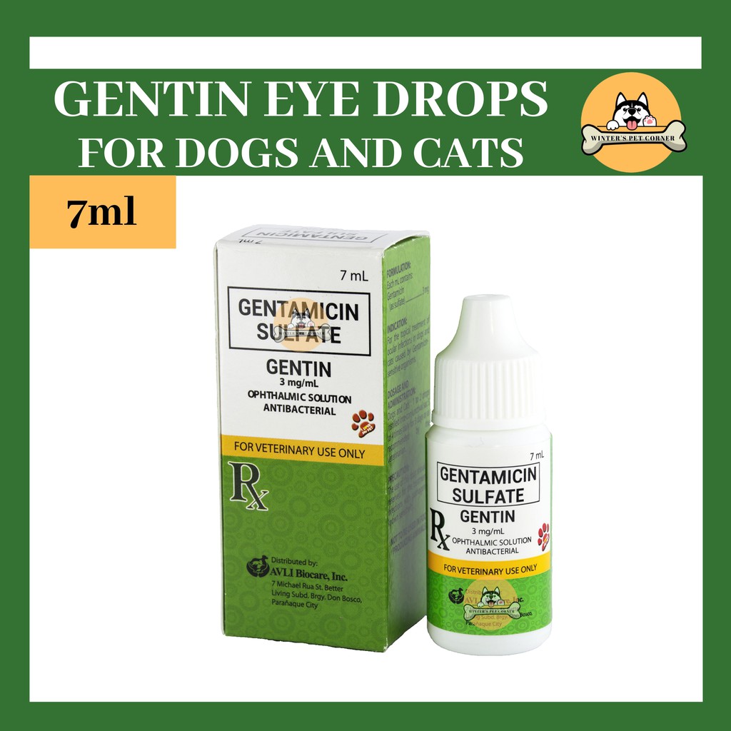 Gentamicin eye drops for hot sale dogs