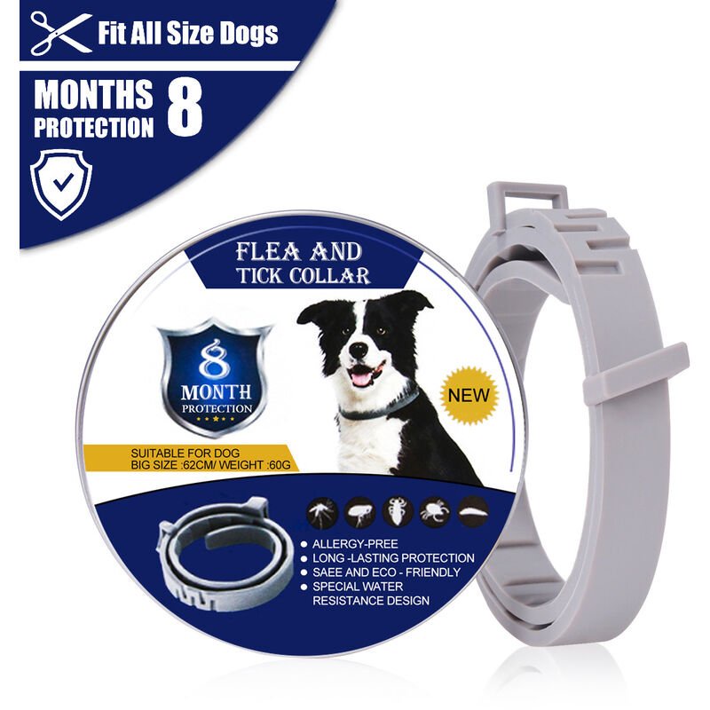 Pet Collar 8Month Lasting Protection Anti Insect Flea Tick Collar for ...