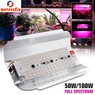 100w 200w 300w Plant Grow light Lamp Bulb Full Spectrum Cob Chip 220v Led  Grow Light