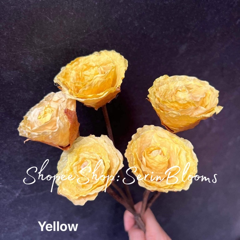 Fossilized Rose (Petite)sold per piece 4-5cm | Shopee Philippines