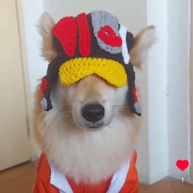Crochet inspired XWing Fighter Pilot Helmet star wars dog hat (made upon order) Shopee