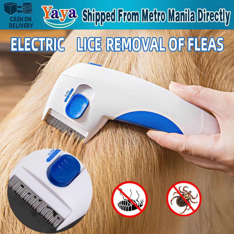 Electric lice comb for fleas sale