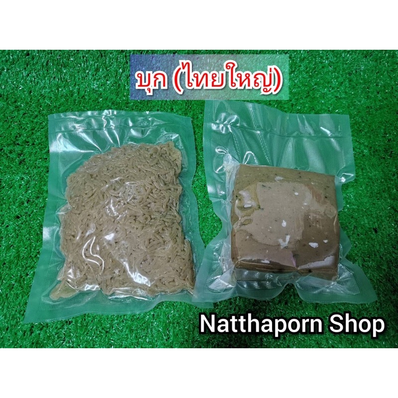 Konjac Block (Finished) Size 500g Shopee Philippines