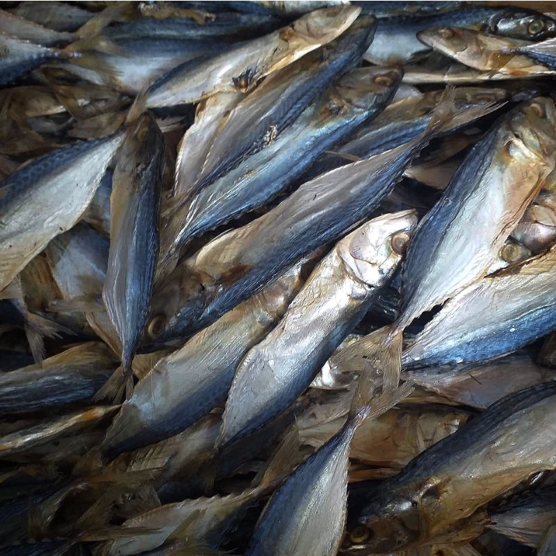 Dried Hasahasa/gumaa buo from Seafood Capital(Vacuumpacked) Shopee