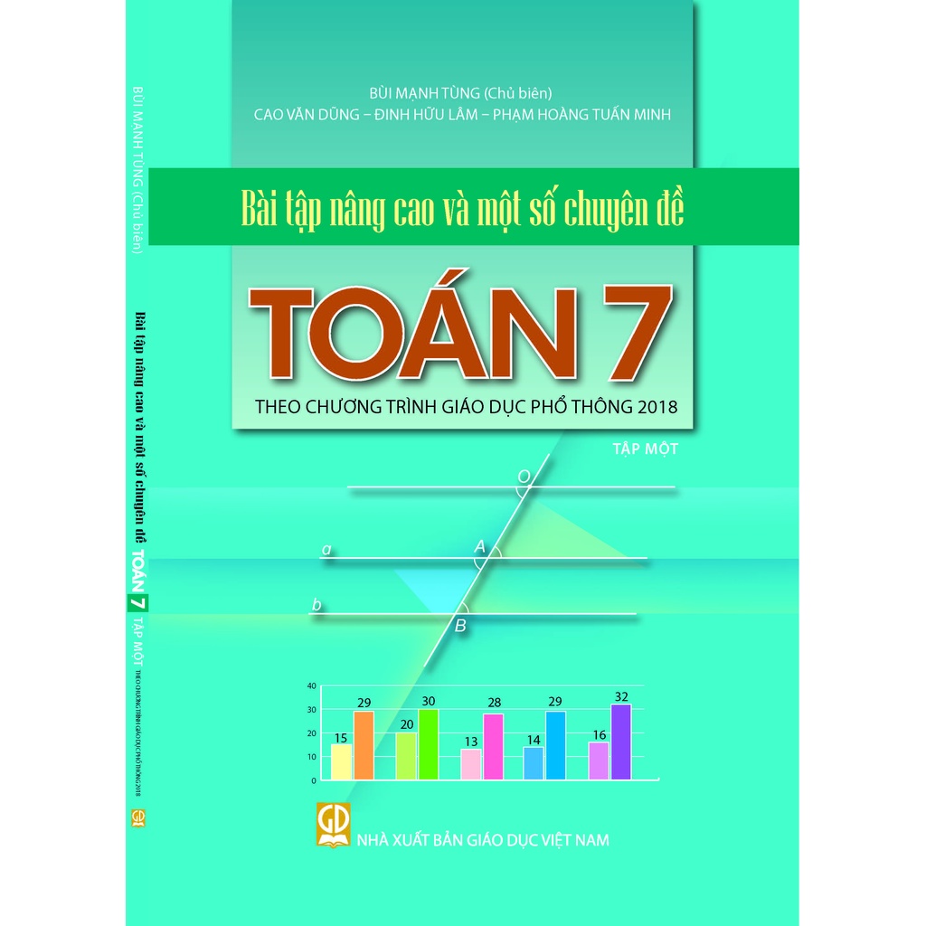 Book - Advanced exercises and some Math topics for grade 7, volume 1 ...