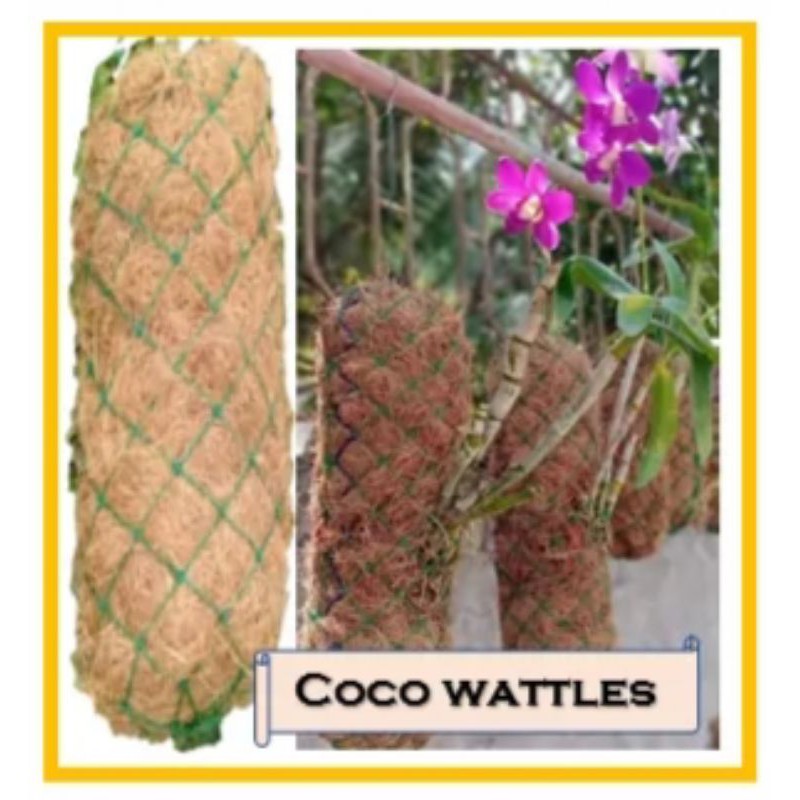 Coco Wattles for Orchids 30cm | Shopee Philippines
