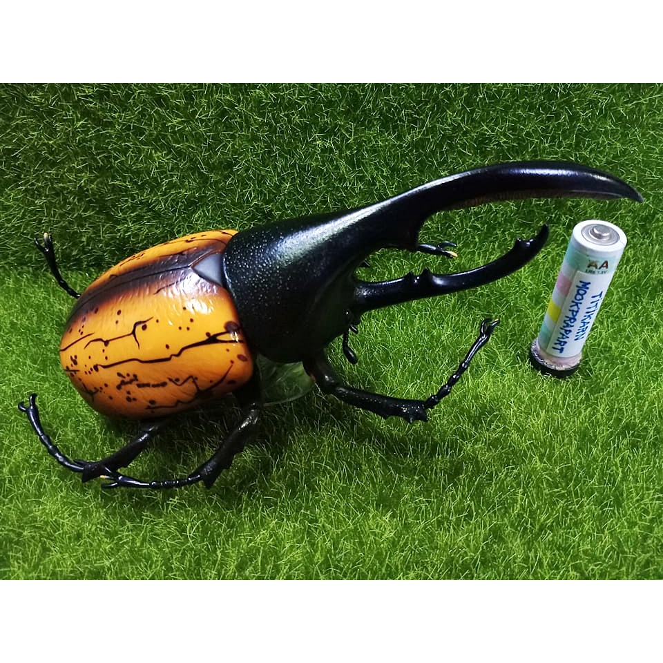 Model Beetle With 19cm Stand | Shopee Philippines