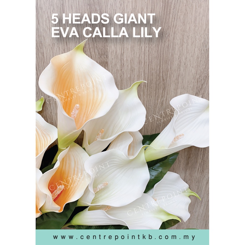 5 Heads Giant Eva Calla Lily/Big Lily Flower Shopee Philippines
