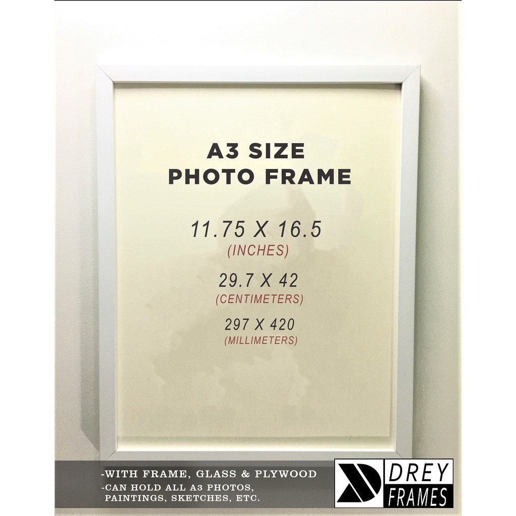 A3 11.75 x 16.5 Wall Hang Picture Frame Shopee Philippines