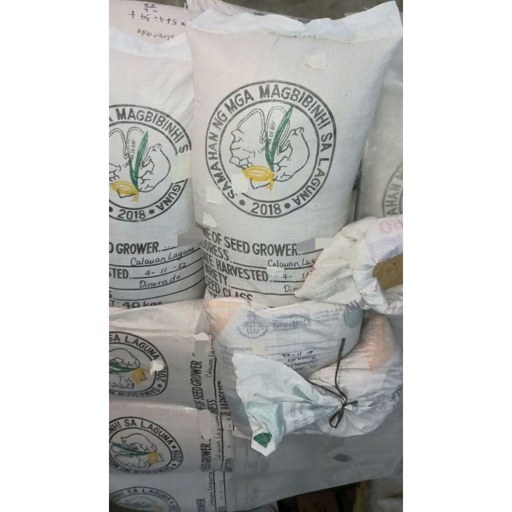 Palay/Binhi/Rice Seeds IRRI David DINORADO (40 kg) | Shopee Philippines