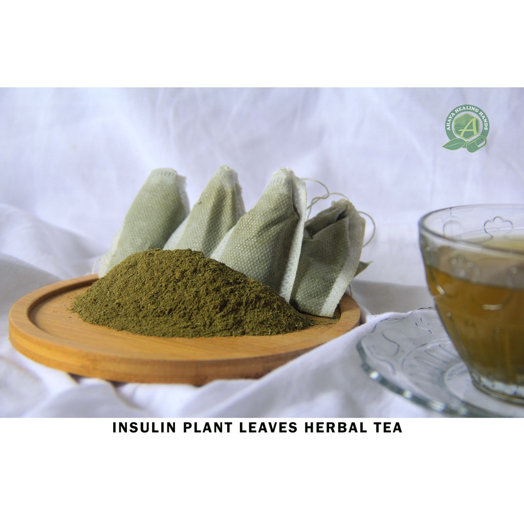 Insulin Plant tea (12pcs/pack) or Cap (50/100pcs) Organic - Natural ...
