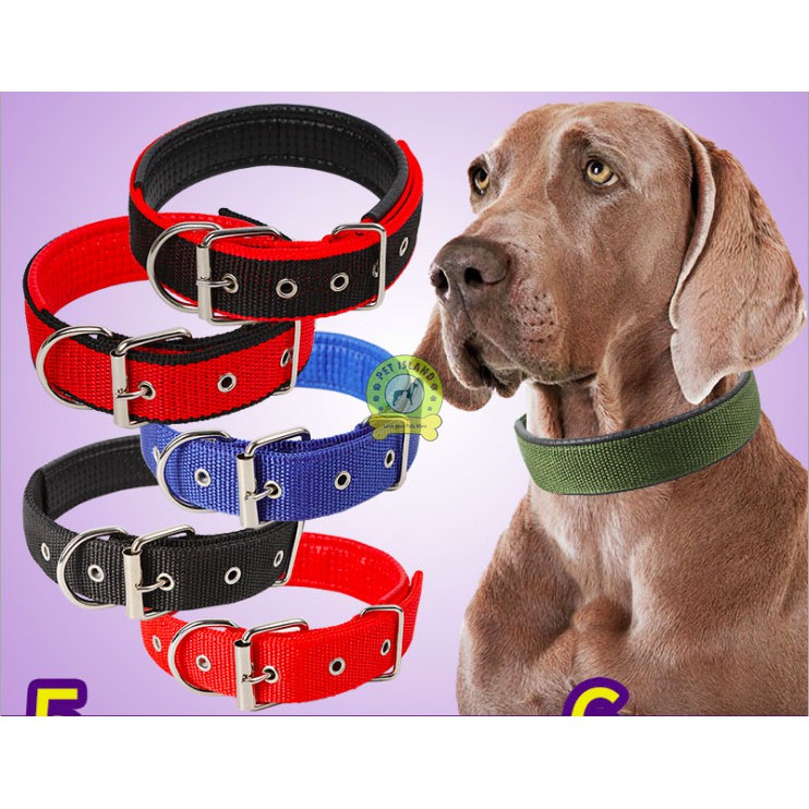 Pet soft collar belt Shopee Philippines
